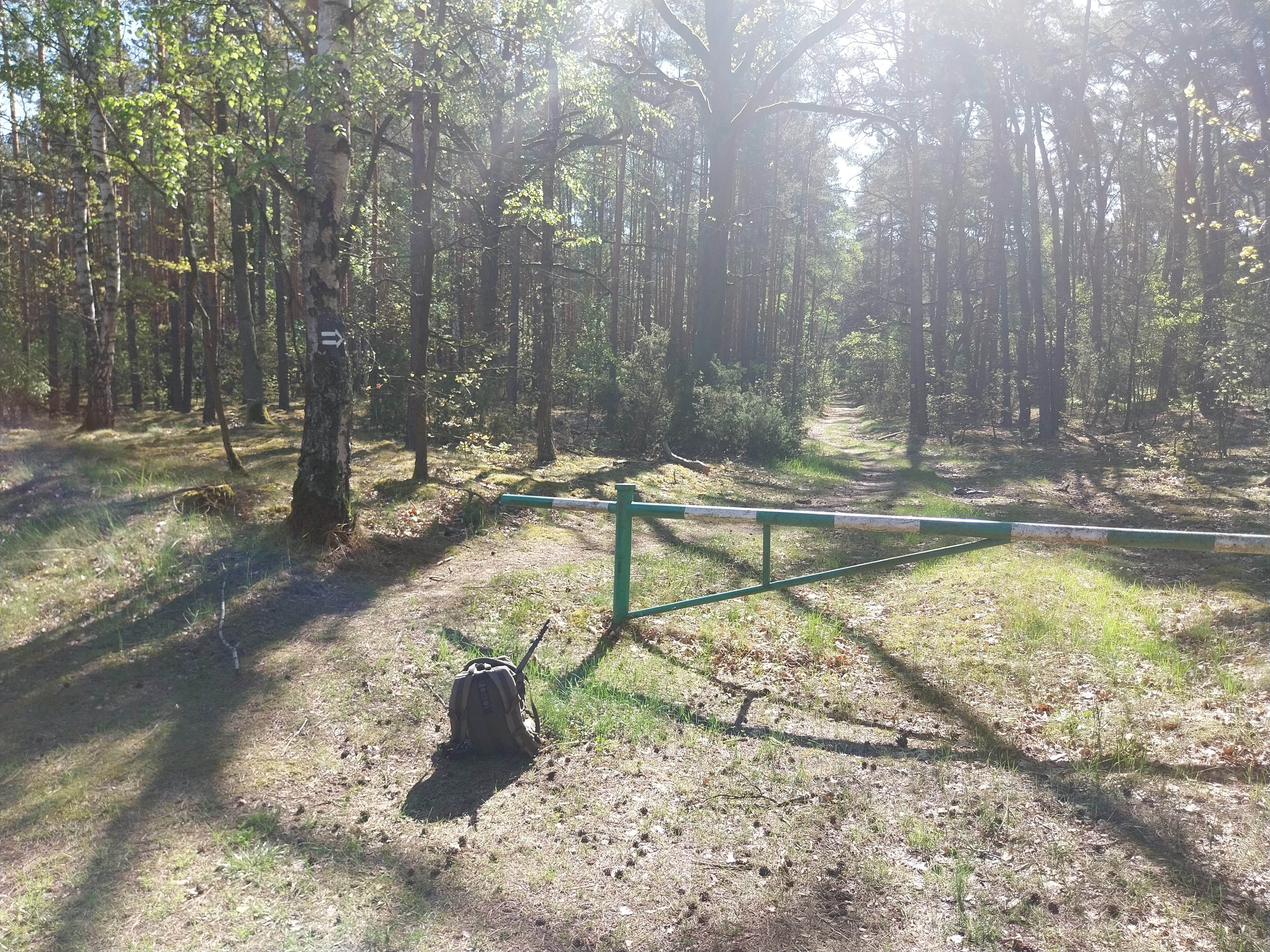 Wejście w tułowcu